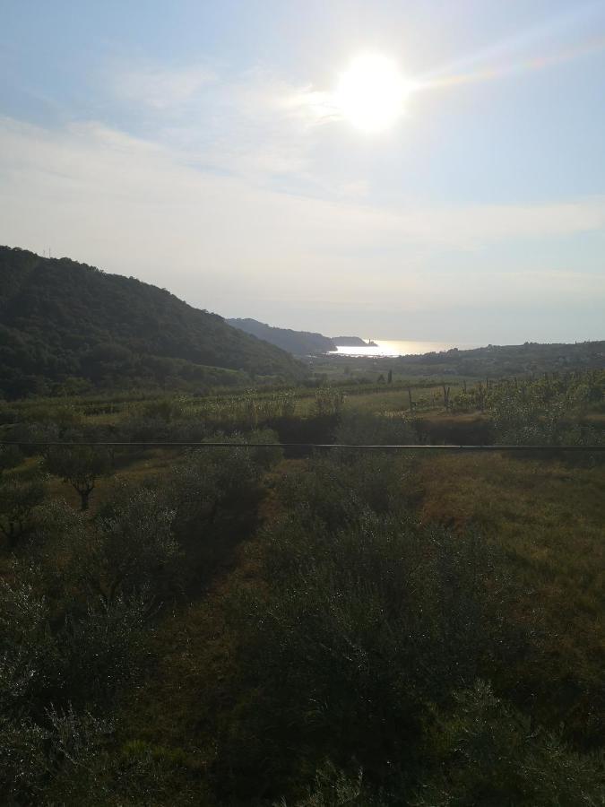 Saleto Apartma Jagodje Екстериор снимка