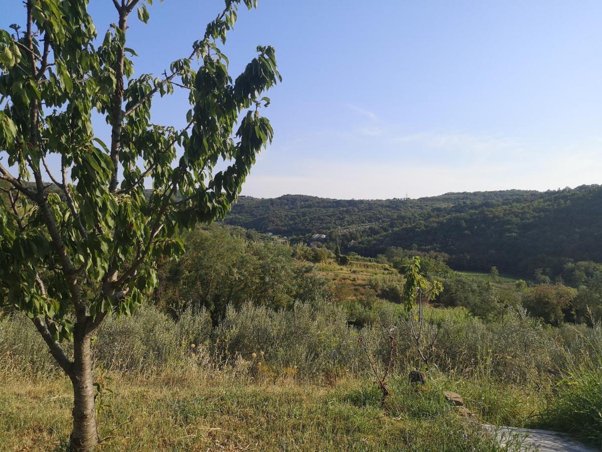 Saleto Apartma Jagodje Екстериор снимка
